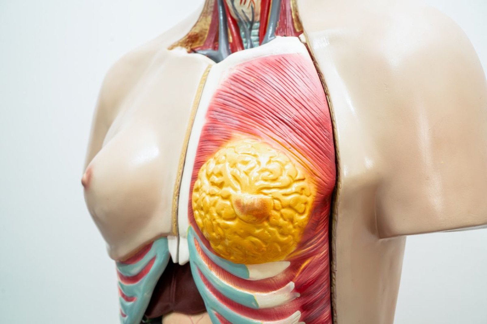 Reconstrução mamária e cirurgia reparadora · Dr. Bruno Salvador, Mastologista em São Paulo